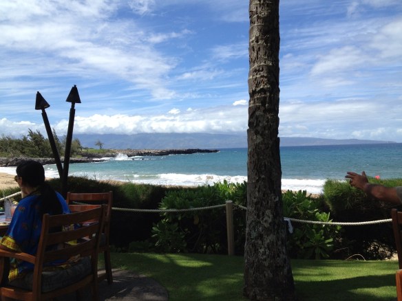 Well butter my butt and call me a biscuit. That there is alright.