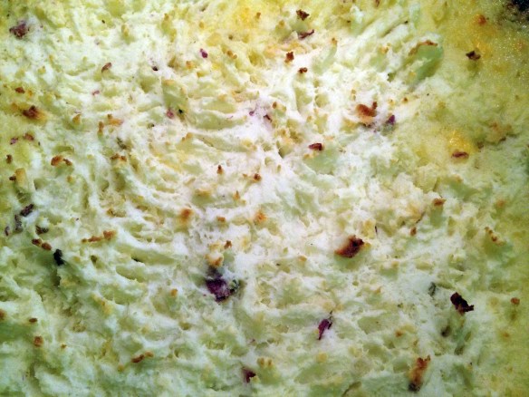 Mmm, I do love me some tiny little toasty peaks of mashed potato.