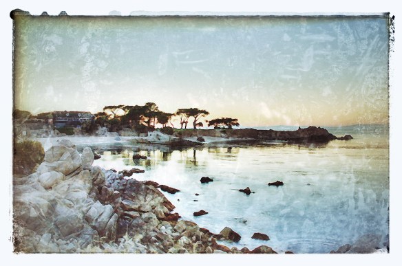 Beautiful yet moist Pacific Grove.