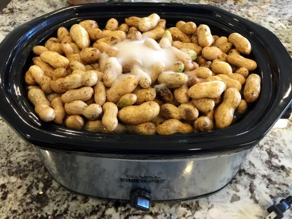 Everyone in the pool!