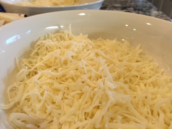 As usual, I have no reason to include this picture. I just like looking at cheese.